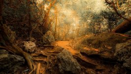 Desktop wallpaper. Nature. ID:103870