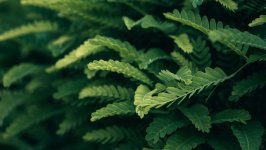 Desktop wallpaper. Nature. ID:104766