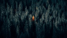 Desktop wallpaper. Nature. ID:105558