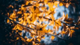 Desktop wallpaper. Nature. ID:105582