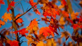 Desktop wallpaper. Nature. ID:105903