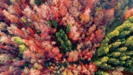 Desktop wallpaper. Nature. ID:106195