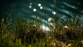 Desktop wallpaper. Nature. ID:106446