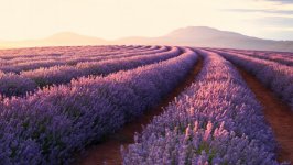 Desktop wallpaper. Nature. ID:108009