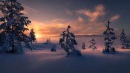 Desktop wallpaper. Nature. ID:109296