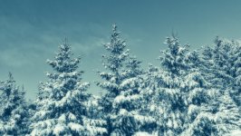 Desktop wallpaper. Nature. ID:109299