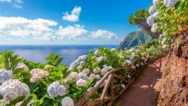 Desktop wallpaper. Nature. ID:109392