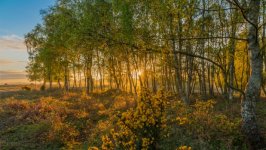 Desktop wallpaper. Nature. ID:109433