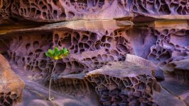 Desktop wallpaper. Nature. ID:109772