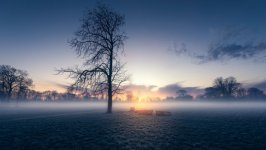 Desktop wallpaper. Nature. ID:109791