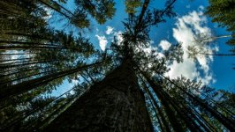 Desktop wallpaper. Nature. ID:112051