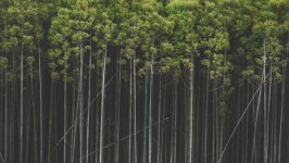 Desktop wallpaper. Nature. ID:114528