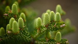 Desktop wallpaper. Nature. ID:115477