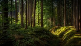 Desktop wallpaper. Nature. ID:115711