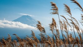 Desktop wallpaper. Nature. ID:115840