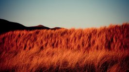 Desktop wallpaper. Nature. ID:115963