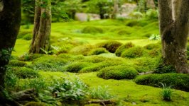 Desktop wallpaper. Nature. ID:117307