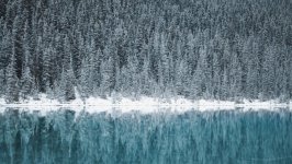 Desktop wallpaper. Nature. ID:117504