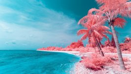 Desktop wallpaper. Nature. ID:117936