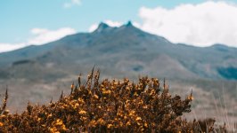 Desktop wallpaper. Nature. ID:118334