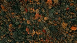 Desktop wallpaper. Nature. ID:121595