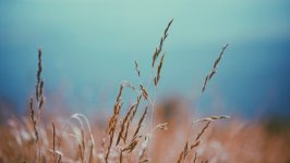 Desktop wallpaper. Nature. ID:126539