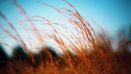 Desktop wallpaper. Nature. ID:126540