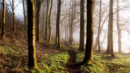 Desktop wallpaper. Nature. ID:127034