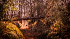 Desktop wallpaper. Nature. ID:128552