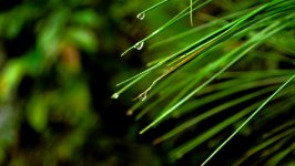 Desktop wallpaper. Nature. ID:128554