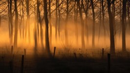 Desktop wallpaper. Nature. ID:128850