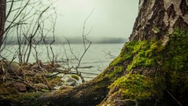 Desktop wallpaper. Nature. ID:129006