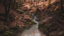 Desktop wallpaper. Nature. ID:129038