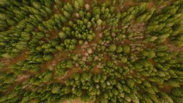 Desktop wallpaper. Nature. ID:129040