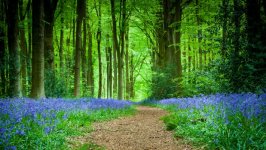 Desktop wallpaper. Nature. ID:129291