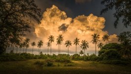 Desktop wallpaper. Nature. ID:129524