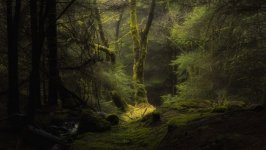 Desktop wallpaper. Nature. ID:129572