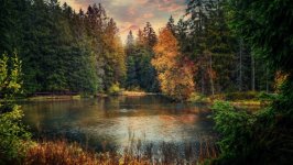 Desktop wallpaper. Nature. ID:130059