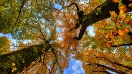 Desktop wallpaper. Nature. ID:130130