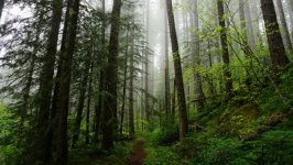 Desktop wallpaper. Nature. ID:130138