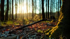 Desktop wallpaper. Nature. ID:130798