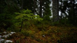 Desktop wallpaper. Nature. ID:131074