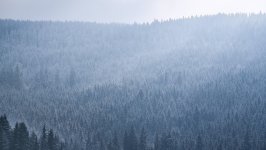 Desktop wallpaper. Nature. ID:131129