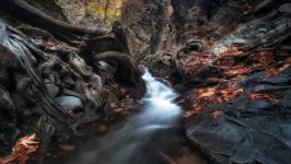 Desktop wallpaper. Nature. ID:131240