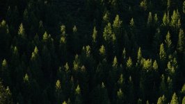 Desktop wallpaper. Nature. ID:131272