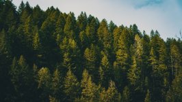 Desktop wallpaper. Nature. ID:131471