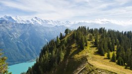 Desktop wallpaper. Nature. ID:131481