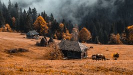 Desktop wallpaper. Nature. ID:131605