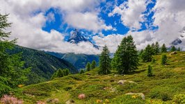 Desktop wallpaper. Nature. ID:131823