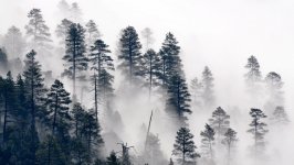 Desktop wallpaper. Nature. ID:131837
